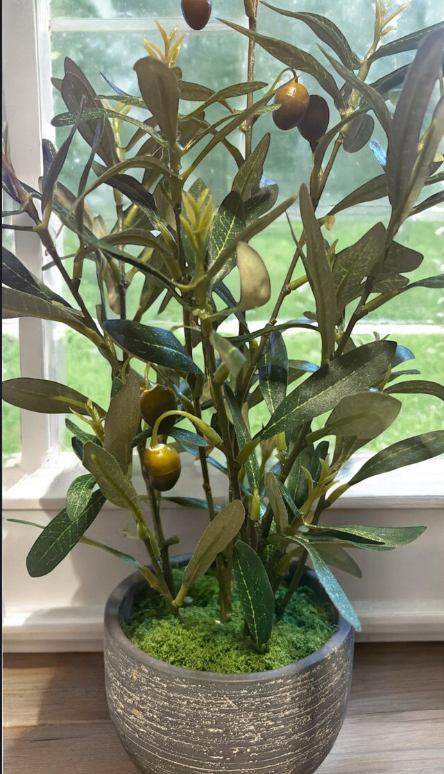 光触媒 人工観葉植物 ウォールグリーン フェイクグリーン オリーブと