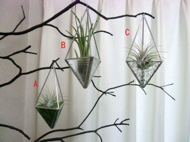 エアプランツホルダー Iichi ハンドメイド クラフト作品 手仕事品の通販