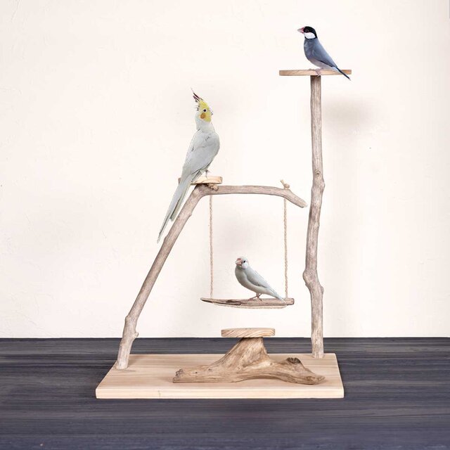 流木の止まり木【バードランドの子守歌】バードスタンド、止まり木、流木、流木アート、飾り棚、１３１