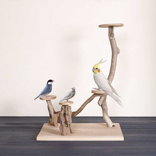 流木の止まり木【バードランドの子守歌】バードスタンド、止まり木、流木、流木アート、飾り棚、１３２