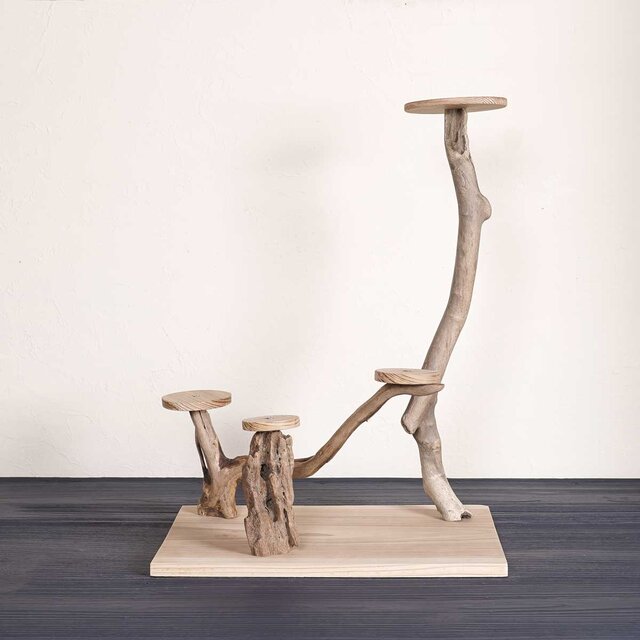 流木の止まり木【バードランドの子守歌】バードスタンド、止まり木