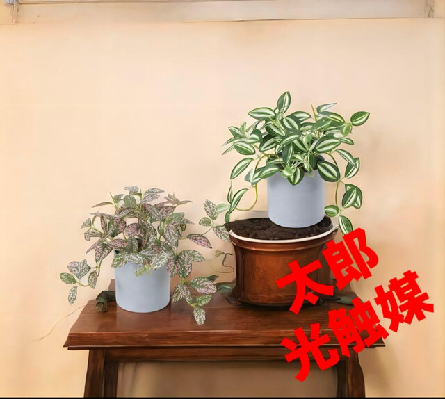 光触媒 人工観葉植物 ウォールグリーン フェイクグリーン トラディスと