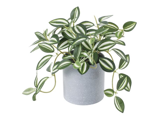 光触媒 人工観葉植物 ウォールグリーン フェイクグリーン トラディスと