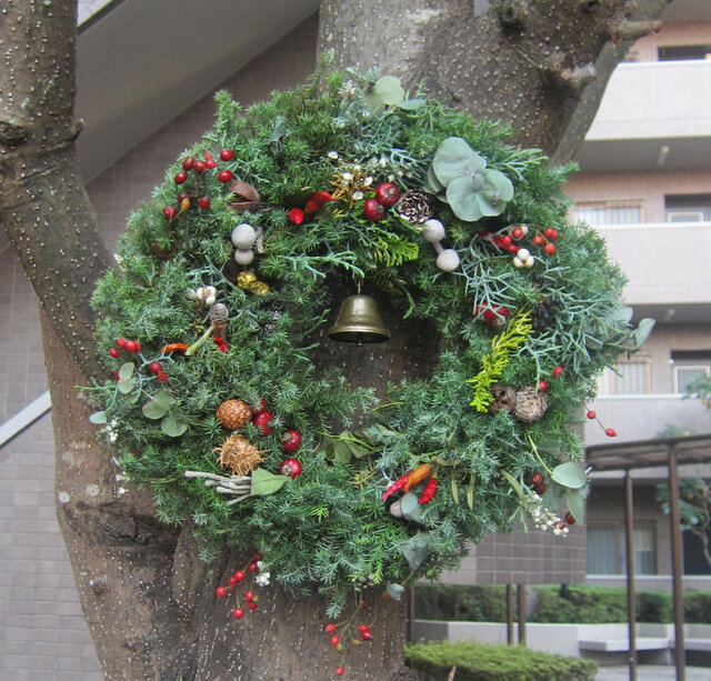1点物33cmクリスマスリース 針葉樹 森の奥から木の実いっぱい