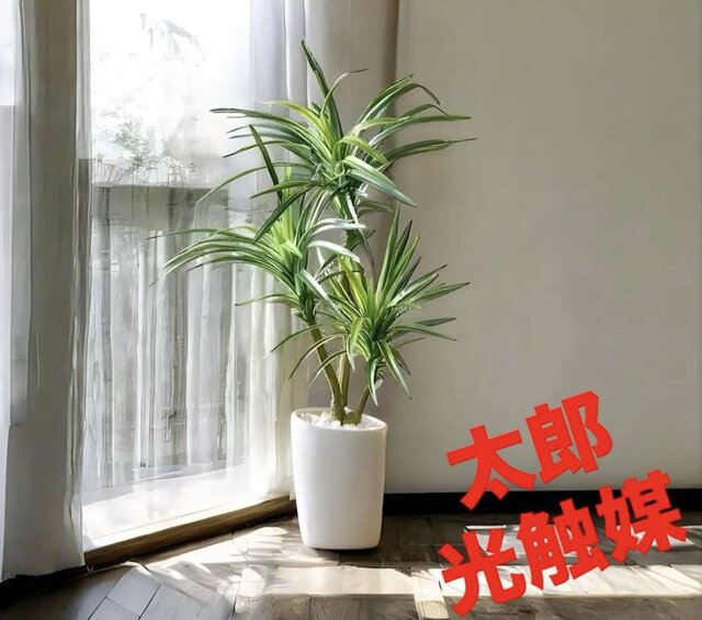 光触媒 人工観葉植物 ウォールグリーン フェイクグリーン ロングユッカ