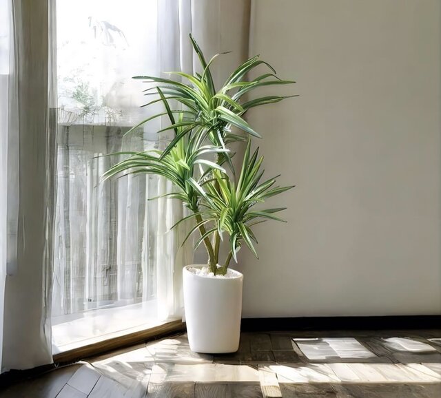 光触媒 人工観葉植物 ウォールグリーン フェイクグリーン ロングユッカ