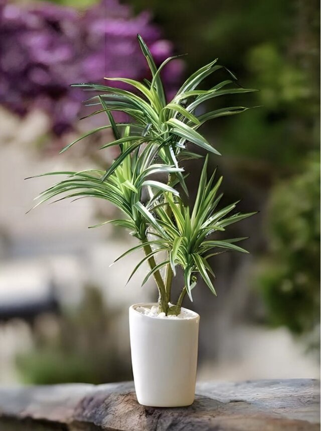 光触媒 人工観葉植物 ウォールグリーン フェイクグリーン ロングユッカ