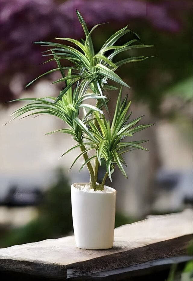 光触媒 人工観葉植物 ウォールグリーン フェイクグリーン ロングユッカ