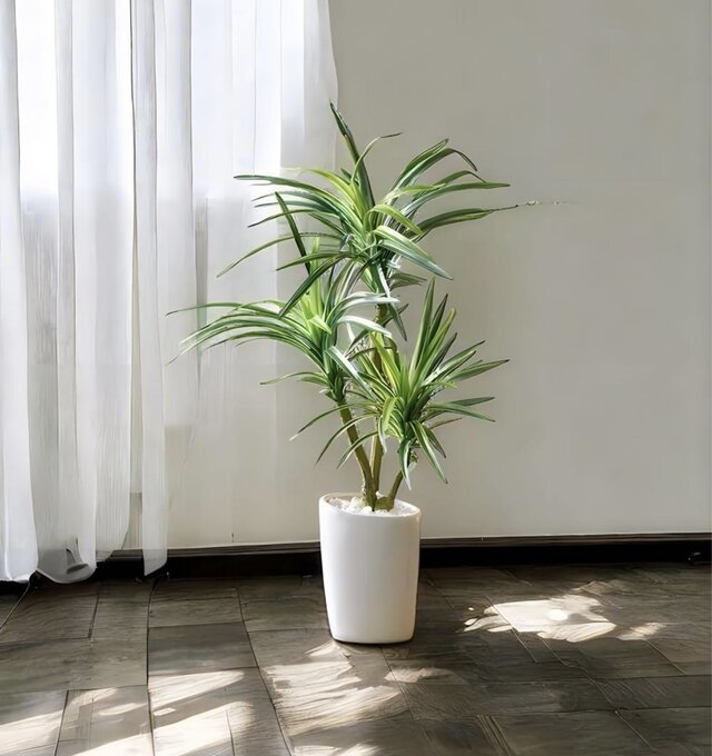 光触媒 人工観葉植物 ウォールグリーン フェイクグリーン ロングユッカ