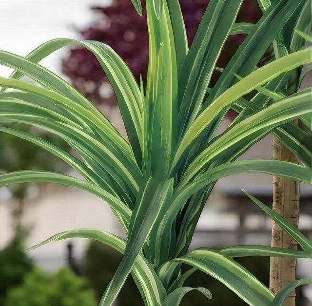 光触媒 人工観葉植物 ウォールグリーン フェイクグリーン ロングユッカ