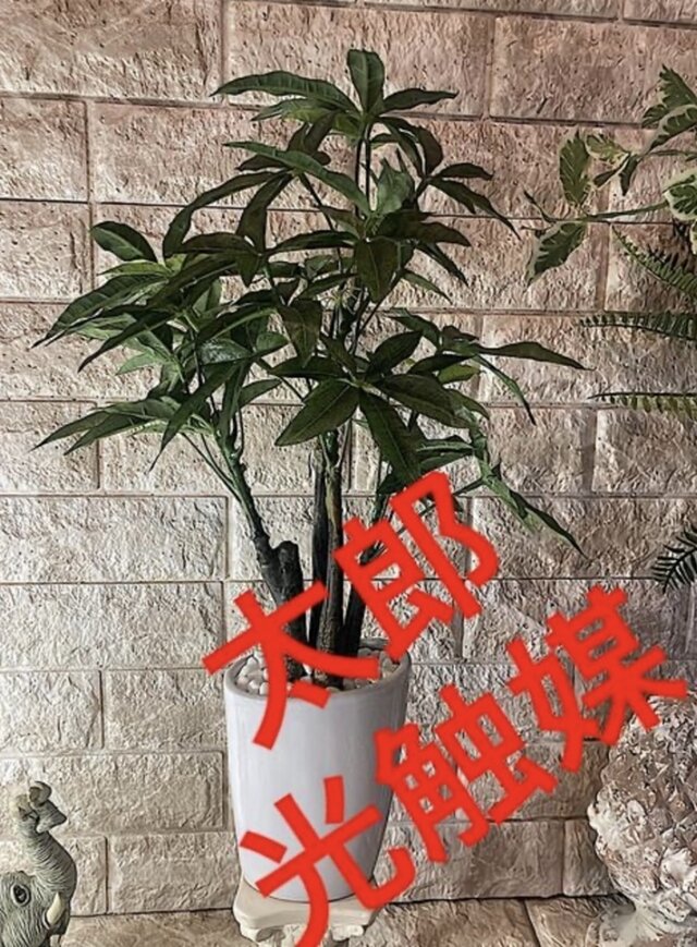 光触媒 人工観葉植物 ウォールグリーン フェイクグリーン パキラ中