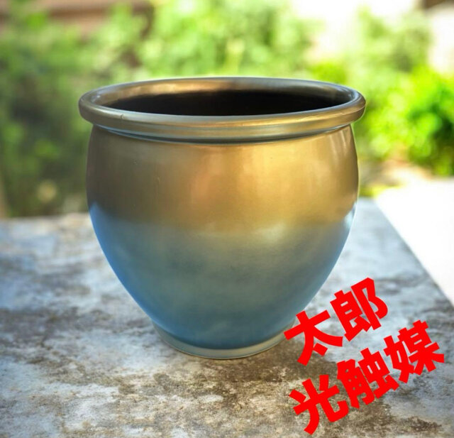 光触媒 観葉植物 ウォールグリーン フェイクグリーン 8寸ゴールド壺