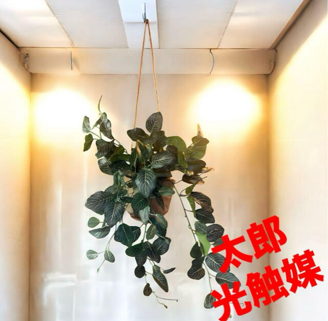 光触媒　人工観葉植物　ウォールグリーン　造花　インテリア 光触媒 人工観葉植物 ウォールグリーン 造花 インテリア 【公式通販】