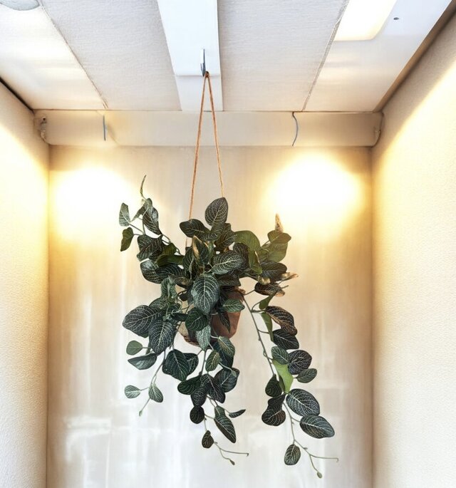 光触媒 人工観葉植物 ウォールグリーン フェイクグリーン 吊り下げ