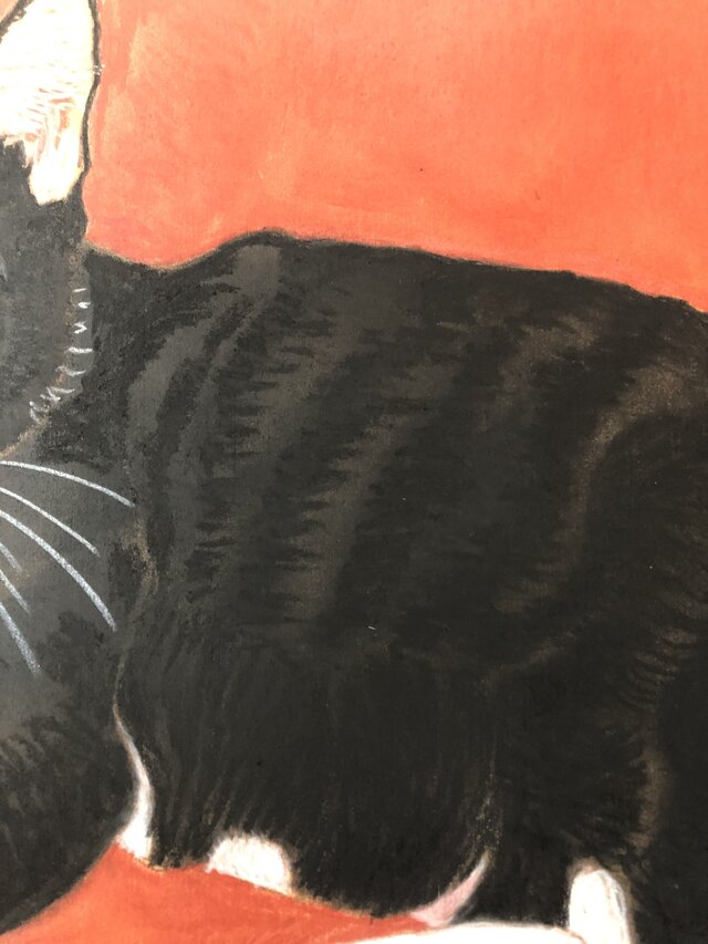 特別価格★【原画】『ウミウシに乗って』（風景画　空の絵　チワワ　黒猫　手描き） 特別価格☆【原画】『ウミウシに乗って』（風景画 空の絵 チワワ 黒猫