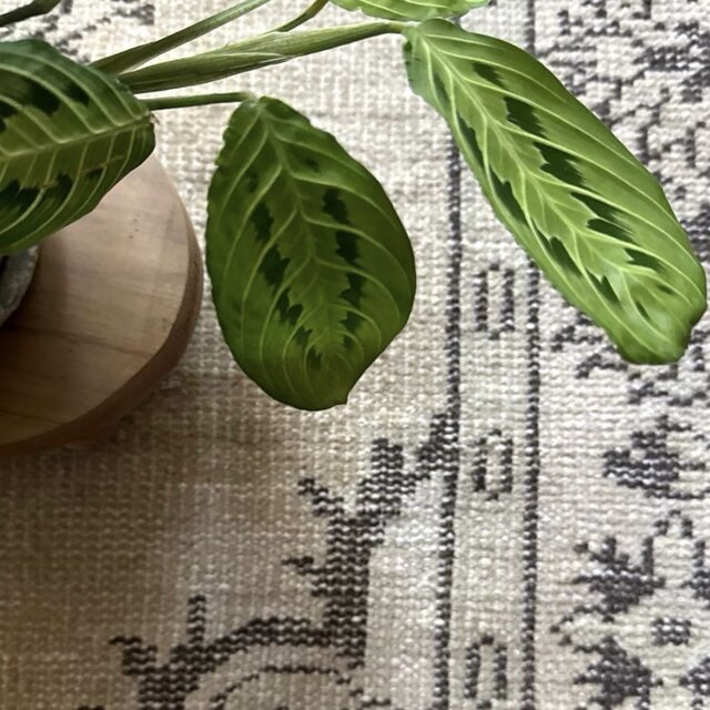 大判147×272淡いベージュ×こげ茶 メダリオン トルコヴィンテージラグ 大判147×272淡いベージュ×こげ茶 メダリオン トルコヴィンテージラグ