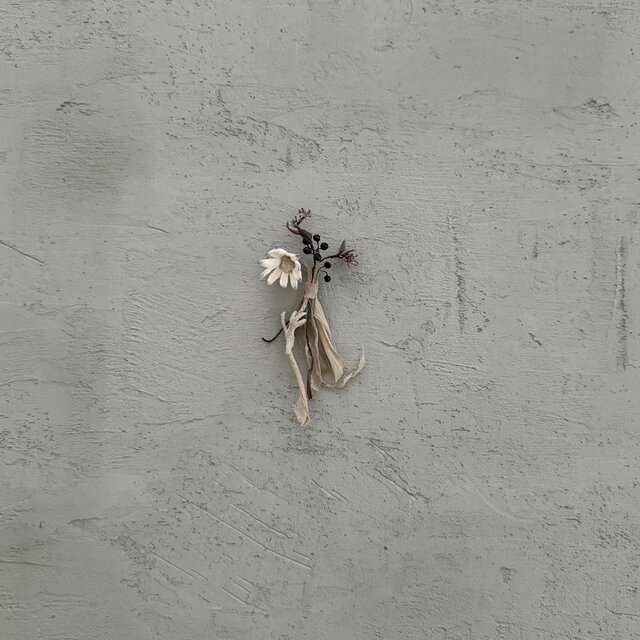 『 フランネルと種子 』