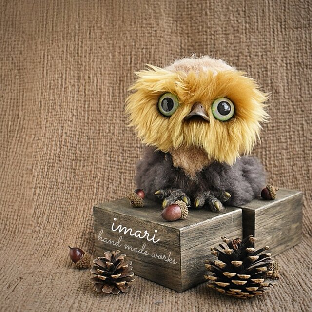 mocoふくろうさん☆new02