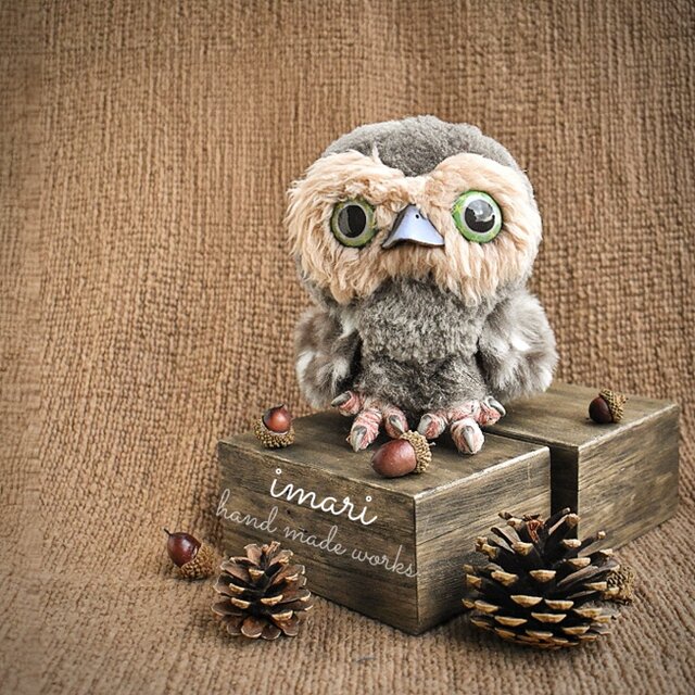 mocoふくろうさん☆new10