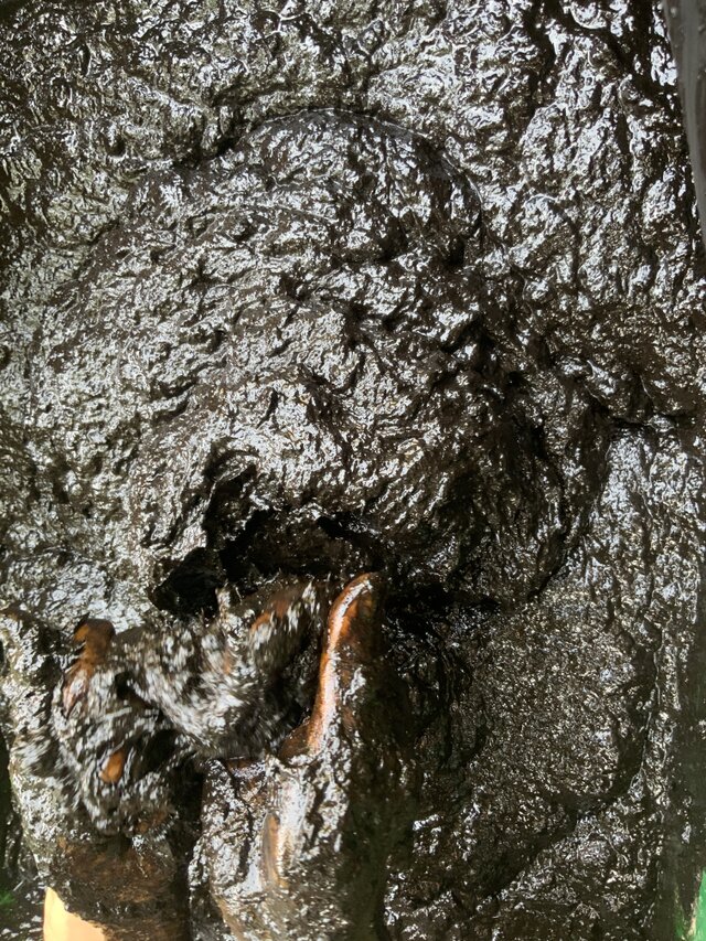 藍染 正月飾り しめ縄 大サイズ | iichi 日々の暮らしを心地よくする