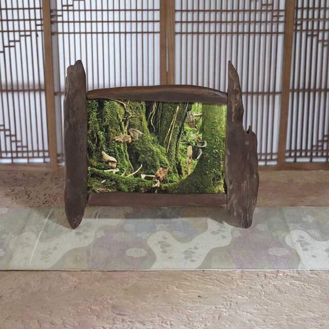 流木フォトスタンド 写真額 写真立て 木の額 流木アート 木の