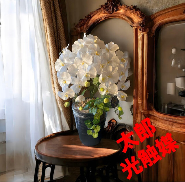 光触媒　人工観葉植物　ウォールグリーン　フェイクグリーン　胡蝶蘭　アマリリスsp 光触媒 人工観葉植物 ウォールグリーン フェイクグリーン 胡蝶蘭