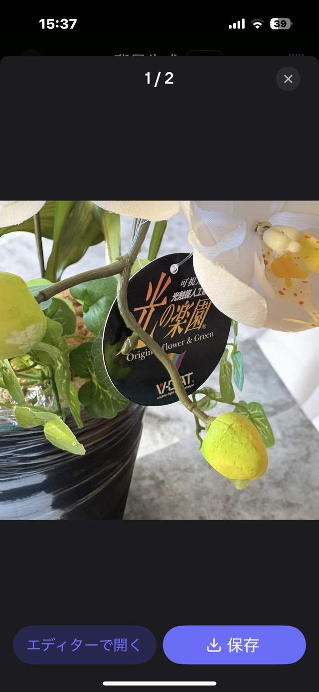 光触媒 人工観葉植物 ウォールグリーン フェイクグリーン 胡蝶蘭6136H