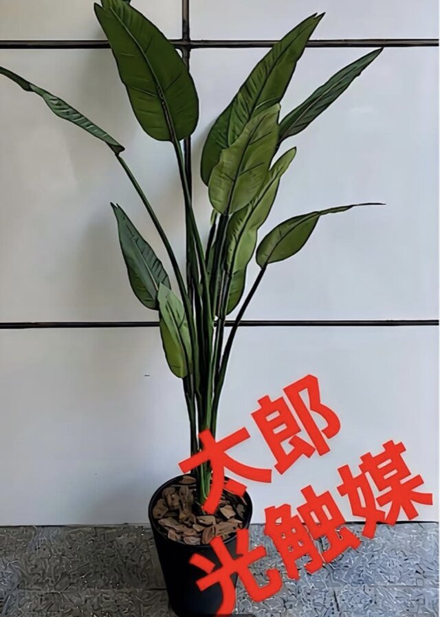 光触媒　人工観葉植物　フェイクグリーン　オーガスタ　ストレッチア160@m