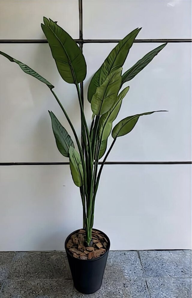 光触媒 人工観葉植物 フェイクグリーン オーガスタ ストレッチア160@m 光触媒 人工観葉植物 フェイクグリーン オーガスタ ストレッチア160@m