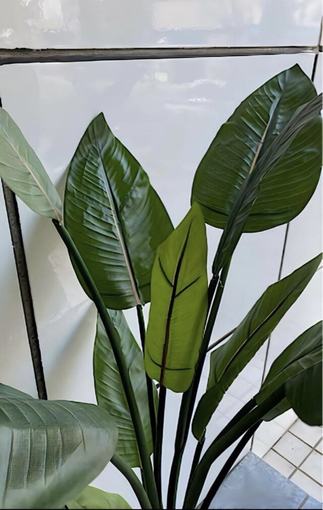 光触媒　人工観葉植物　フェイクグリーン　オーガスタ　ストレッチア160@m 光触媒 人工観葉植物 フェイクグリーン オーガスタ ストレッチア160@m