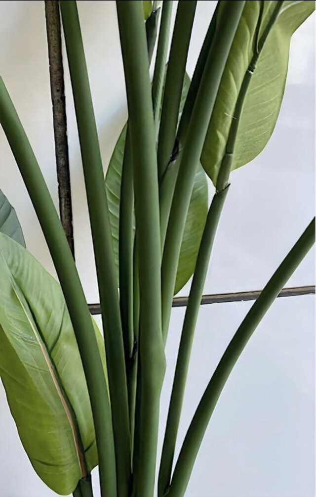 光触媒 人工観葉植物 フェイクグリーン オーガスタ ストレッチア160@m