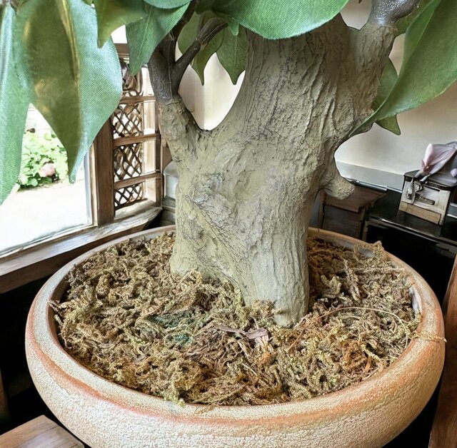 光触媒 人工観葉植物 ウォールグリーン フェイクグリーン ベンジャミン