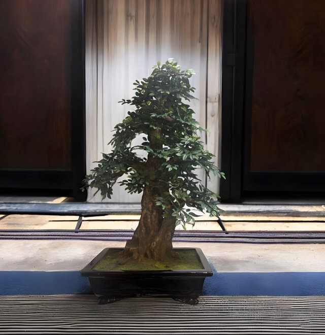 光触媒　人工観葉植物　ウォールグリーン　フェイクグリーン　欅ケヤキ1.8m 光触媒 人工観葉植物 ウォールグリーン フェイクグリーン 盆栽 けやき