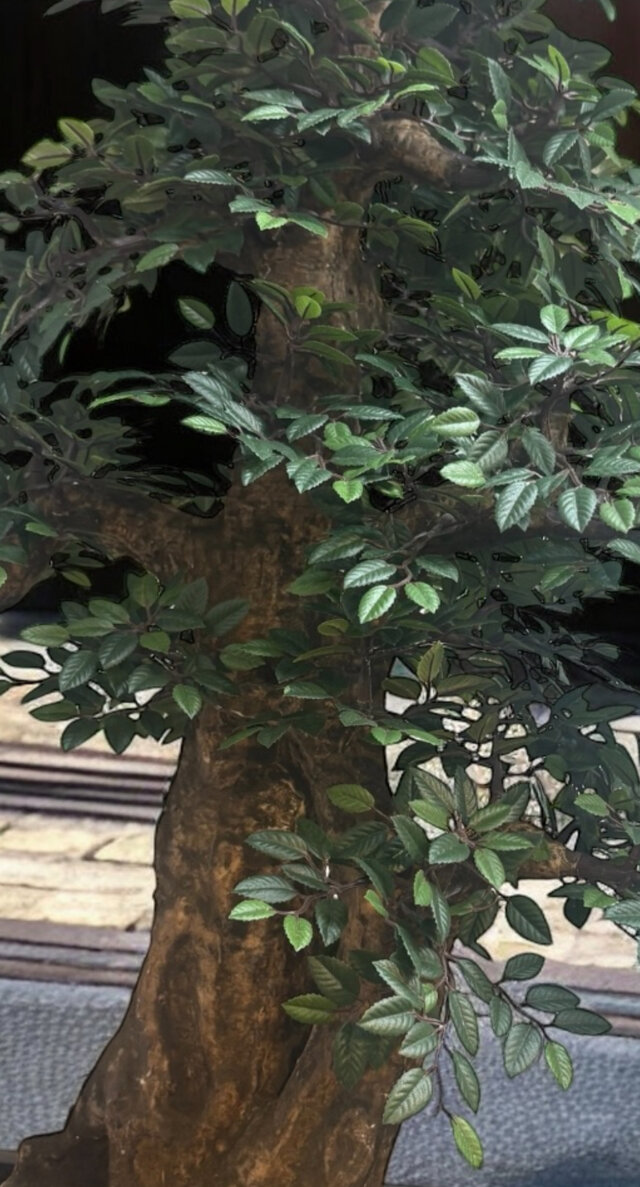 光触媒　人工観葉植物　ウォールグリーン　フェイクグリーン　ケヤキ1.6 光触媒 人工観葉植物 ウォールグリーン フェイクグリーン 盆栽 けやき