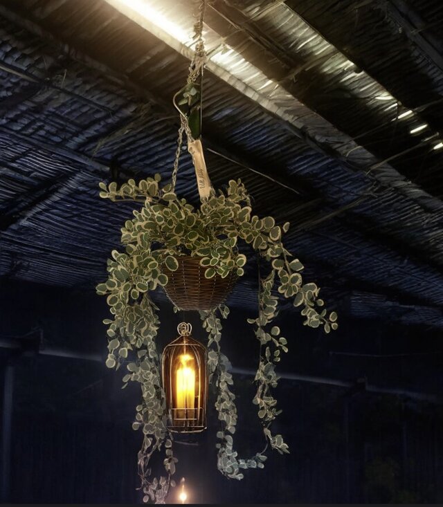 光触媒 人工観葉植物 ウォールグリーン フェイクグリーン 吊り下げ