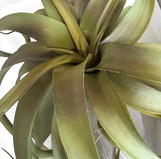 光触媒 人工観葉植物 ウォールグリーン フェイクグリーン 壁掛け