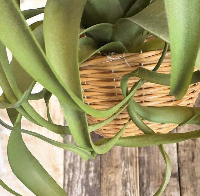 光触媒 人工観葉植物 ウォールグリーン フェイクグリーン 壁掛け