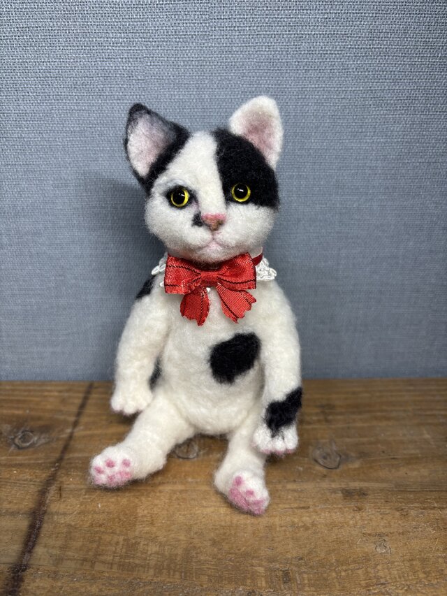 白黒猫＊日本猫＊ねこ | iichi 日々の暮らしを心地よくする