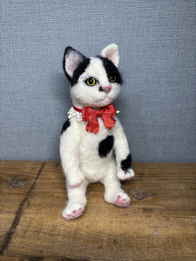 白黒猫＊日本猫＊ねこ | iichi 日々の暮らしを心地よくする
