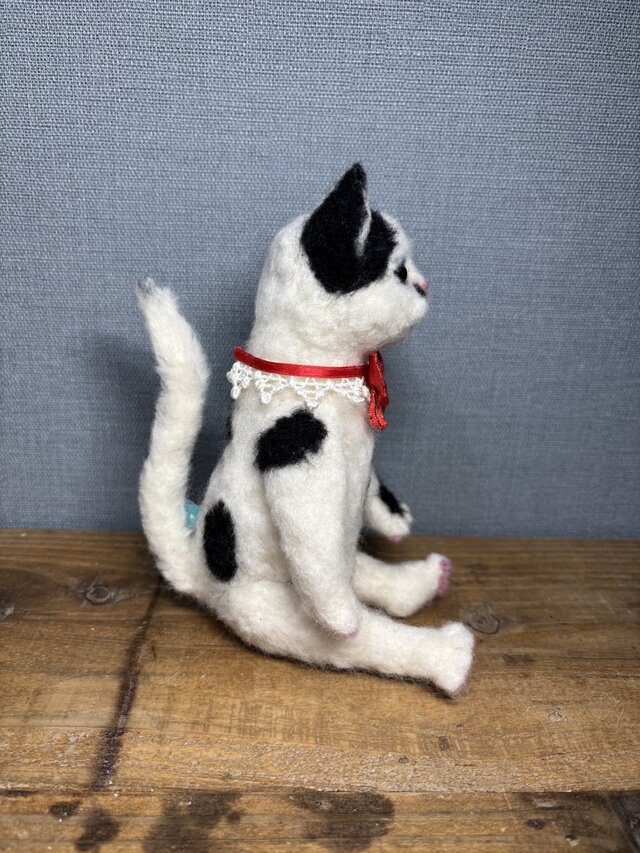 白黒猫＊日本猫＊ねこ | iichi 日々の暮らしを心地よくする