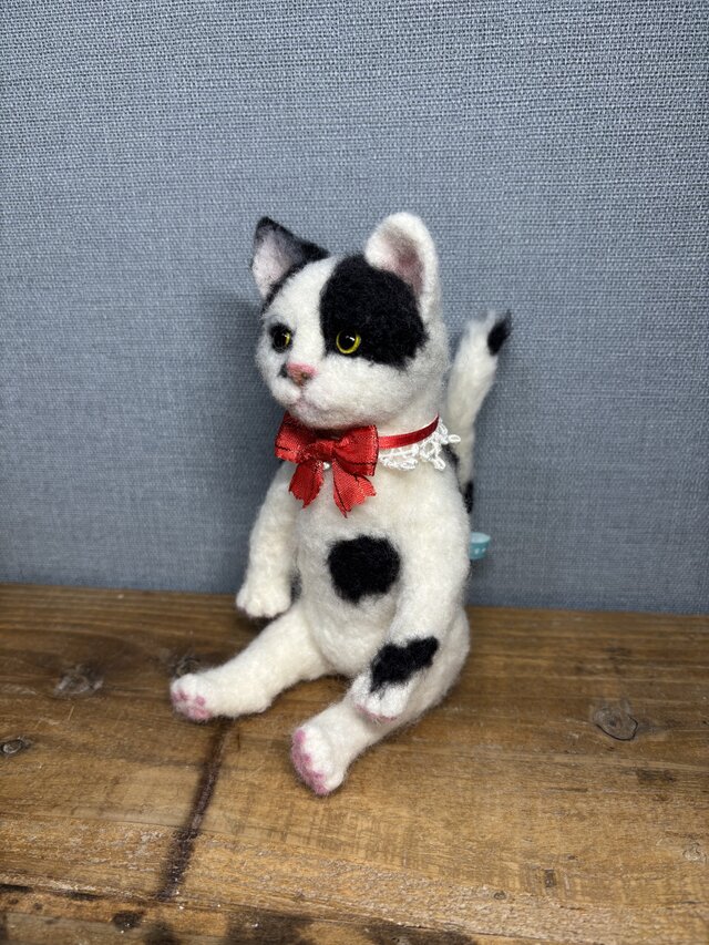 白黒猫＊日本猫＊ねこ | iichi 日々の暮らしを心地よくする