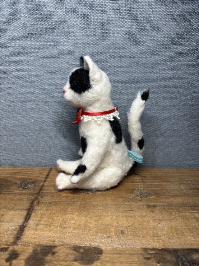 白黒猫＊日本猫＊ねこ | iichi 日々の暮らしを心地よくする