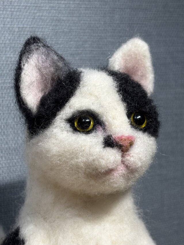 白黒猫＊日本猫＊ねこ | iichi 日々の暮らしを心地よくする