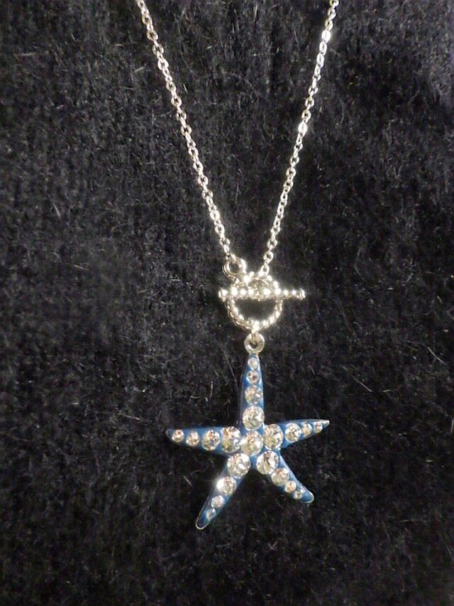 テイクアップ　貝殻とヒトデモチーフのネックレス テイクアップ 貝殻とヒトデモチーフのネックレス