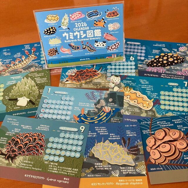 2026ウミウシ図鑑カレンダー | iichi 日々の暮らしを心地よくする