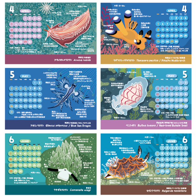 2026ウミウシ図鑑カレンダー | iichi 日々の暮らしを心地よくする