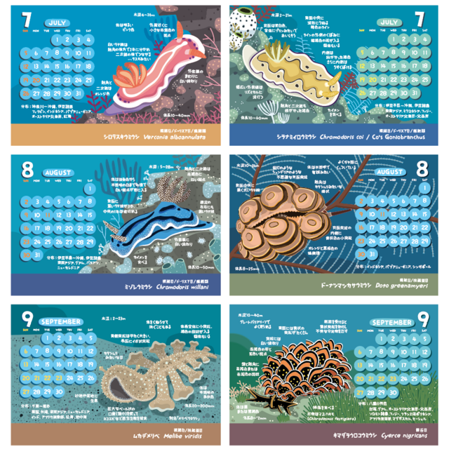 2026ウミウシ図鑑カレンダー | iichi 日々の暮らしを心地よくする