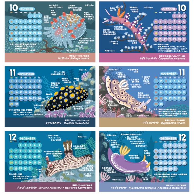 ウミウシ図鑑（新版） Amazon.co.jp: 新版 ウミウシ：特徴がひと目でわかる図解付き