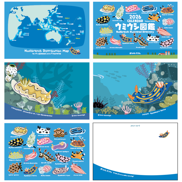 2026ウミウシ図鑑カレンダー | iichi 日々の暮らしを心地よくする