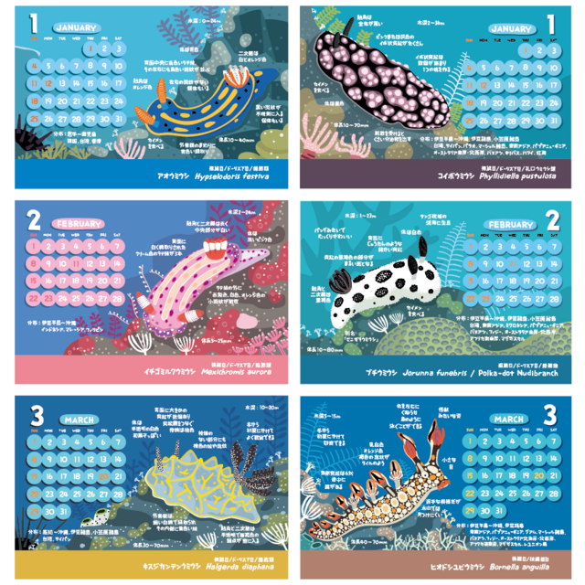2026ウミウシ図鑑カレンダー（エコパック） | iichi 日々の暮らしを